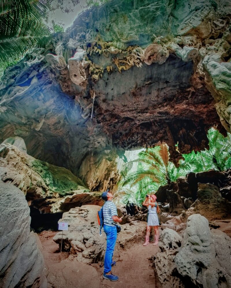 หุบป่าตาด ป่าดึกดำบรรพ์ มหัศจรรย์กิ้งกือมังกรสีชมพู 3 หุบป่าตาด003