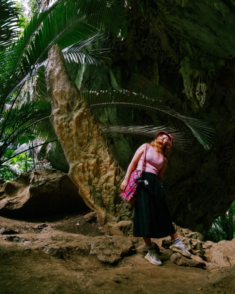 หุบป่าตาด ป่าดึกดำบรรพ์ มหัศจรรย์กิ้งกือมังกรสีชมพู 4 หุบป่าตาด004