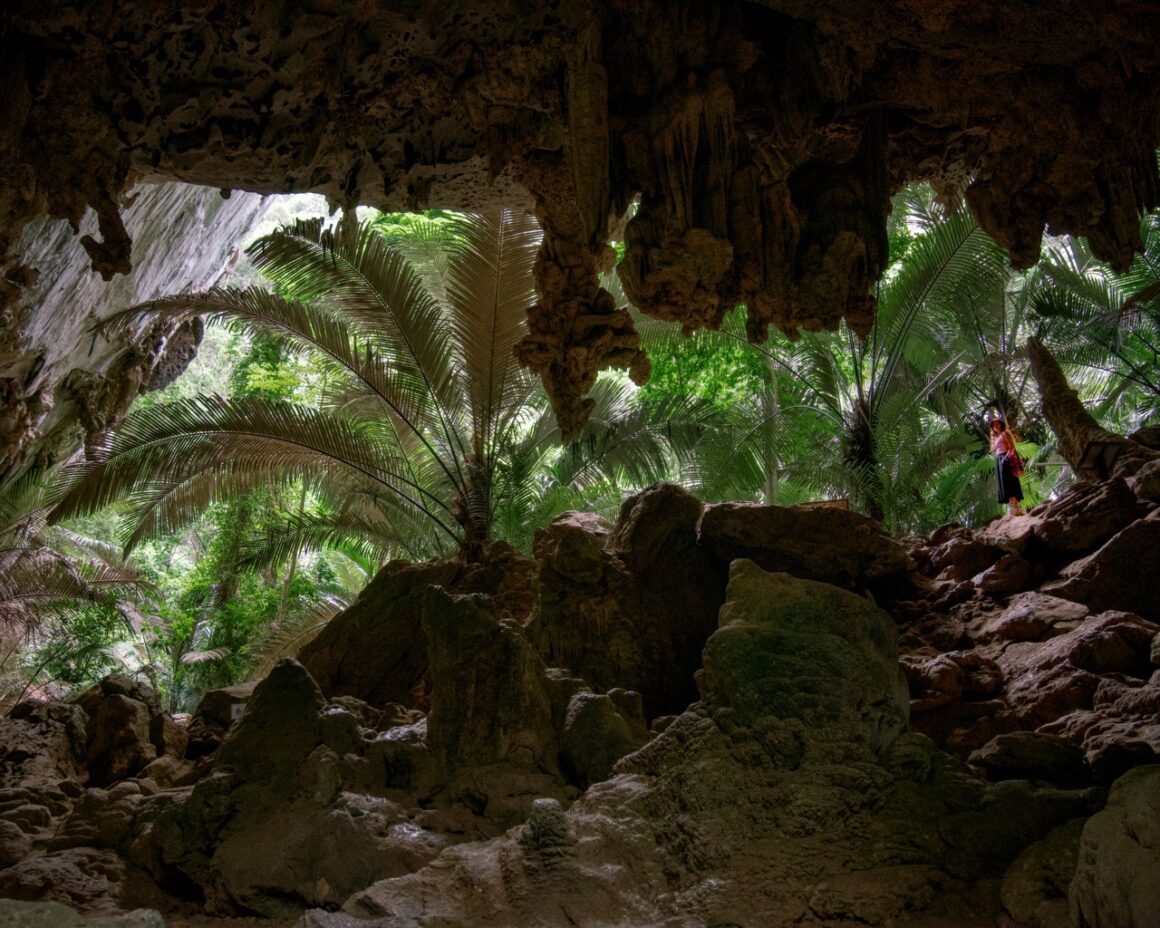 หุบป่าตาด ป่าดึกดำบรรพ์ มหัศจรรย์กิ้งกือมังกรสีชมพู 5 หุบป่าตาด005