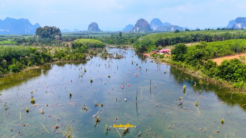 พายคยัคที่ คลองหรูด (Klong Root) 2 DJI 20240424143720 0102 D