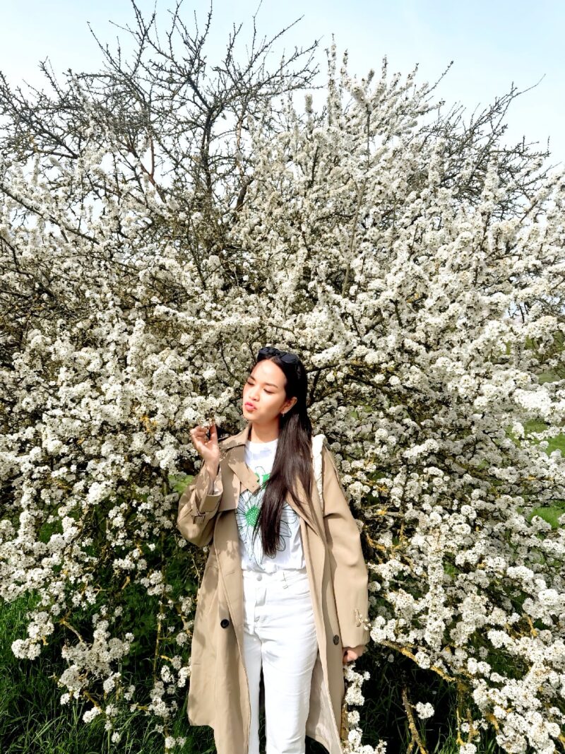 หนีร้อนไปพึ่งเย็น! ปักหมุดชม "ซากุระอังกฤษ" ที่ Kew Gardens ลอนดอน ฉบับปี 2026 11 IMG 0102