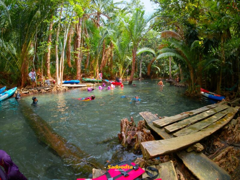 พายคยัคที่ คลองหรูด (Klong Root) 4 IMG 20240423 102957 129