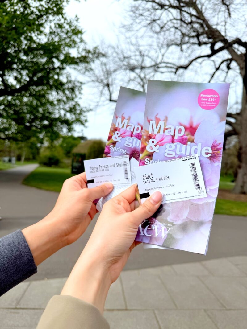 หนีร้อนไปพึ่งเย็น! ปักหมุดชม "ซากุระอังกฤษ" ที่ Kew Gardens ลอนดอน ฉบับปี 2026 10 IMG 9274