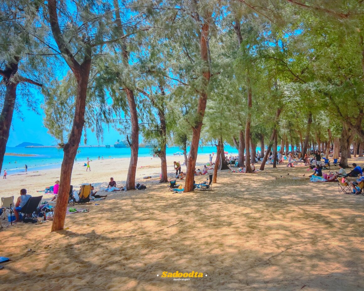 เที่ยวหาดนางรำ-หาดนางรอง สัตหีบ: ทะเลใกล้กรุง น้ำใสเหมือนข้ามเกาะ ในงบประหยัด! 12 nangrumbeach 022