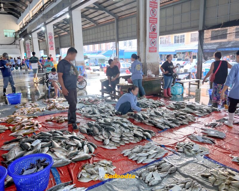 เที่ยวเมืองระนอง เมืองน้ำร้อนออนเซน อาหารอร่อย 26 TripRanong 2026 027