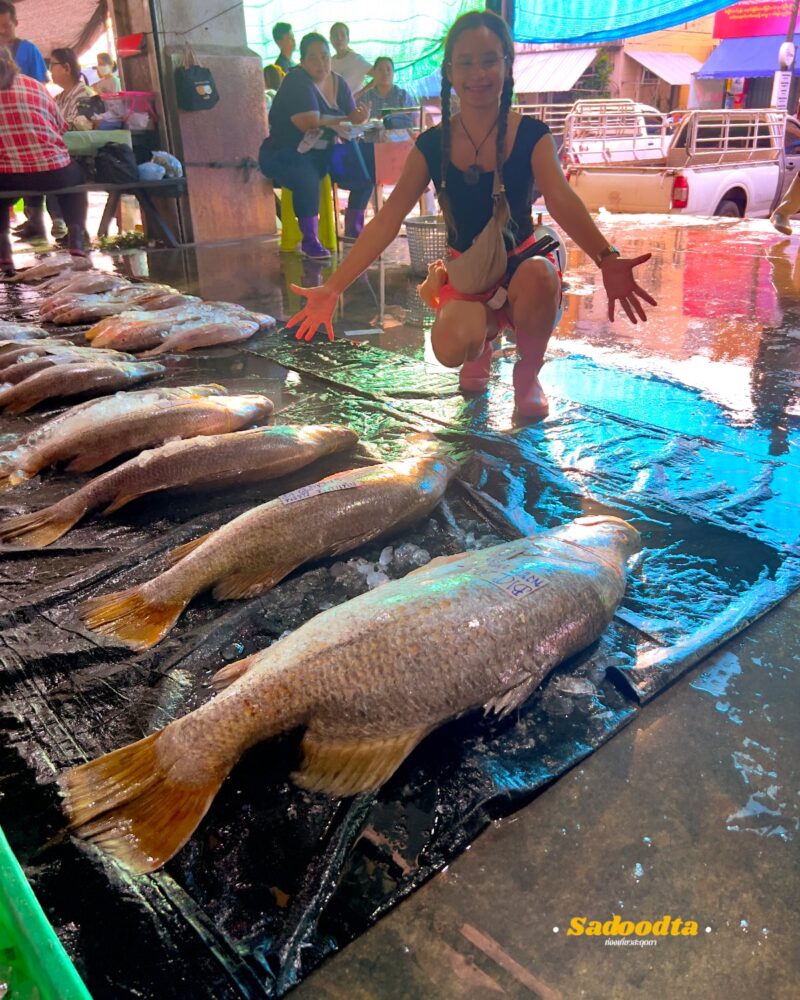 เที่ยวเมืองระนอง เมืองน้ำร้อนออนเซน อาหารอร่อย 25 TripRanong 2026 039