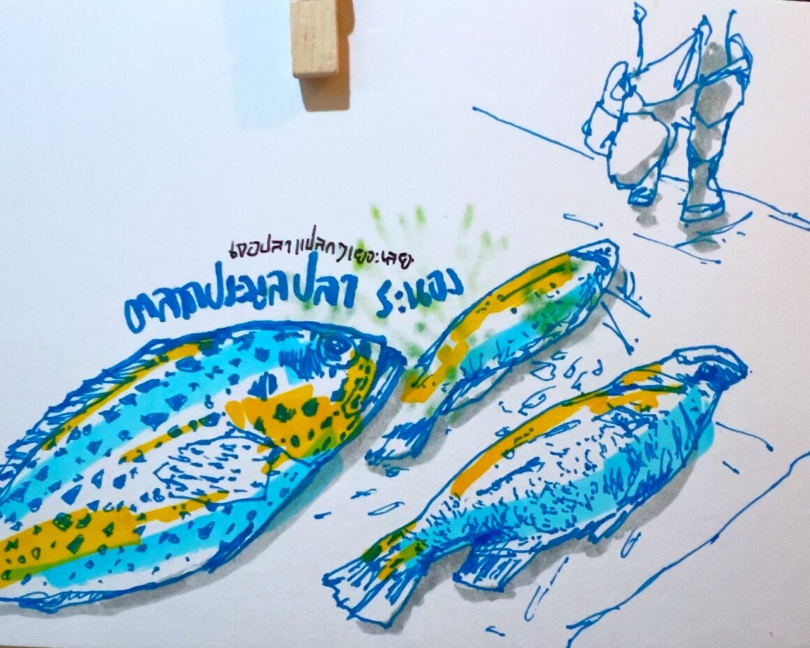 SADOODTA ท่องเที่ยวสะดุดตา 48 fishmarketRanongSketch