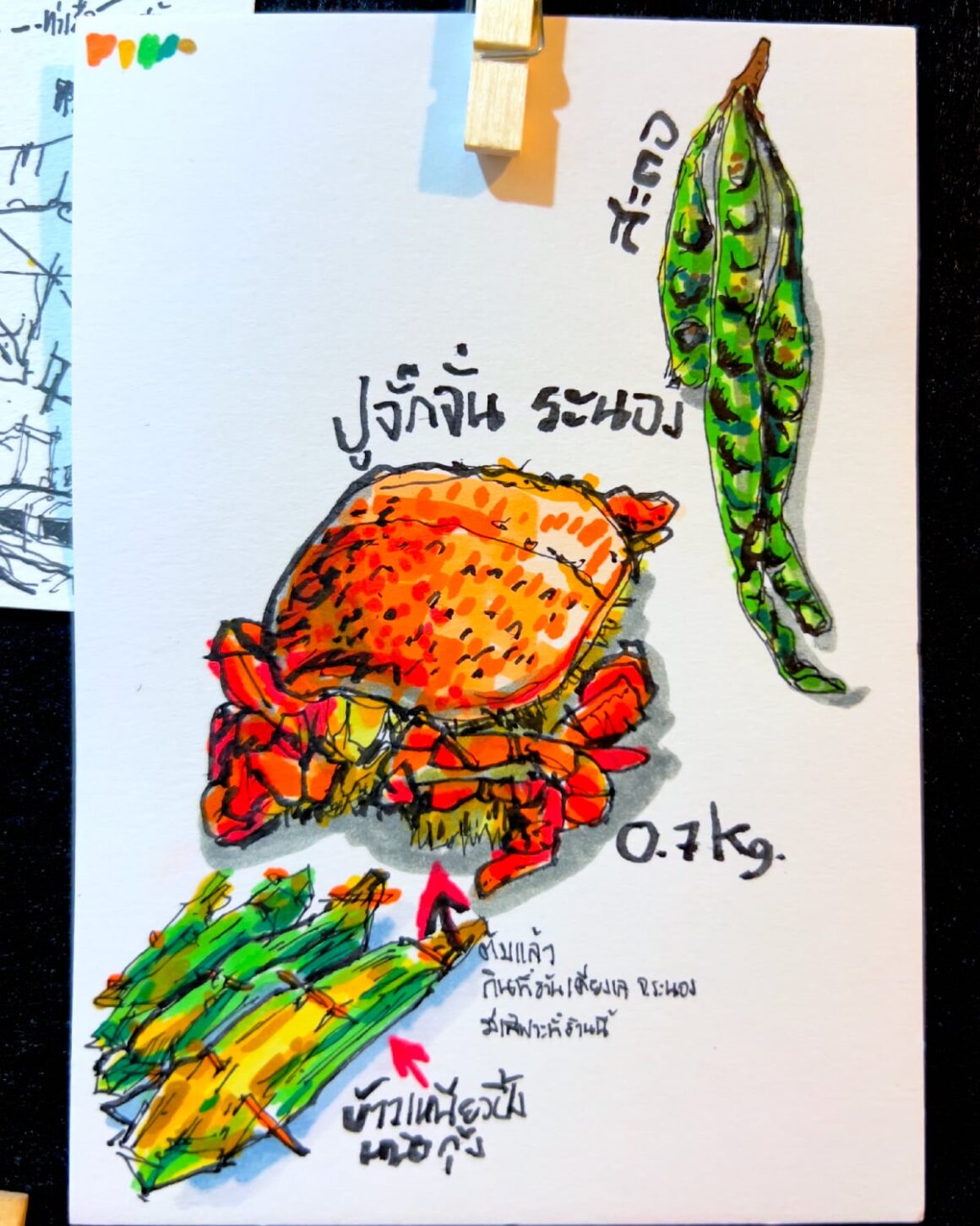 SADOODTA ท่องเที่ยวสะดุดตา 46 foodRanongsketch