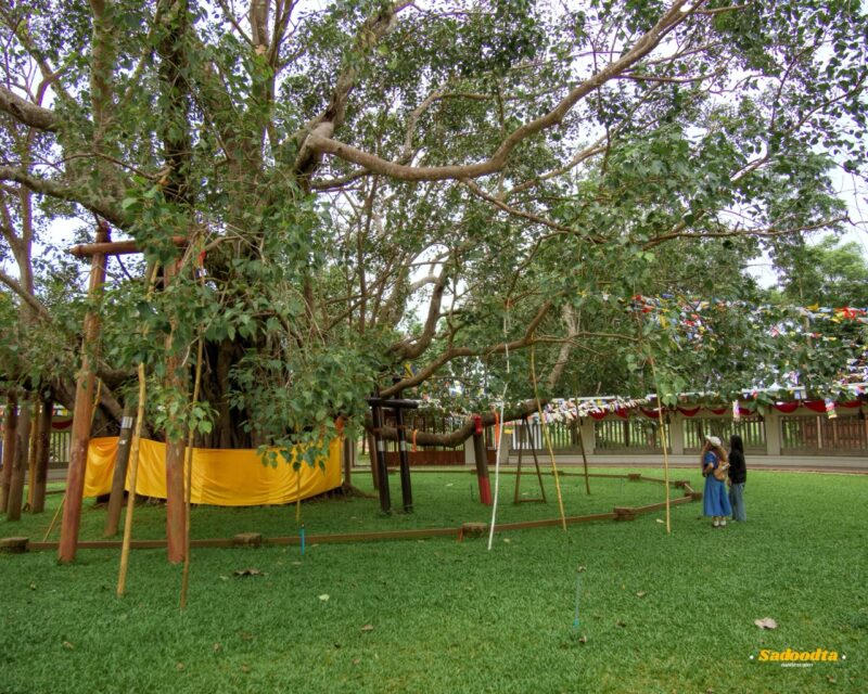 3วัน2คืน เที่ยวหน้าฝนปราจีนบุรี Green Season 24 prachin 044 ขนาดใหญ่